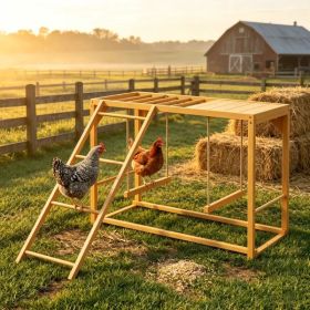 Chicken Activity Play/ Chicken Coop Toy (Option: default title)